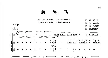 鹧鸪飞(笛+筝)  张维良曲邱霁订筝指法