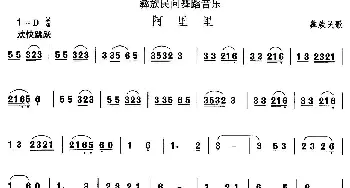 阿里(彝族舞蹈)中国民族民间舞曲选