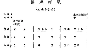 锦鸡拖尾(打击乐合奏)