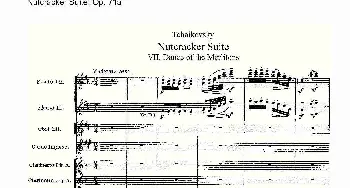 Nutcracker Suite, Op.71a(胡桃夹套曲 Op.71a 第七章)