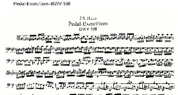 Pedal-Exercitium--BWV 598(管风琴谱)