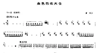 金色的北大仓(笙谱)唐富