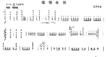 柳琴考级曲目四级 银湖金波  王惠然