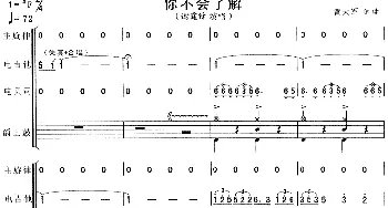 你不会了解(乐队总谱) 黄大军 黄大军