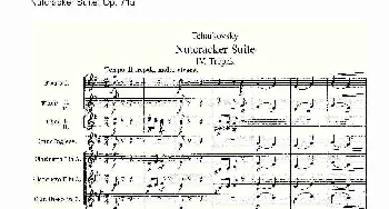 Nutcracker Suite, Op.71a(胡桃夹套曲 Op.71a 第四章)