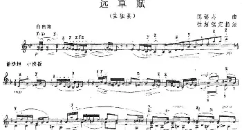 远草赋(笙独奏)陈铭志曲 徐超铭定指法