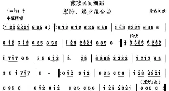 颤跨 端步组合(藏族舞蹈)中国民族民间舞曲选