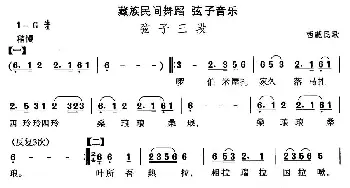 弦子-弦子三(藏族舞蹈)中国民族民间舞曲选