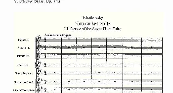 Nutcracker Suite, Op.71a(胡桃夹套曲 Op.71a 第三章)
