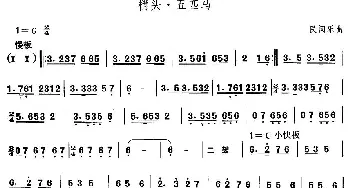 梢头·五匹(东北秧歌)中国民族民间舞曲选