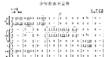 少年壮志不言愁(总谱)  雷蕾