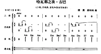 哈瓦那之夜・古巴(二胡 手风琴 吉他和弦击乐组合)  谭勇 席玲玲