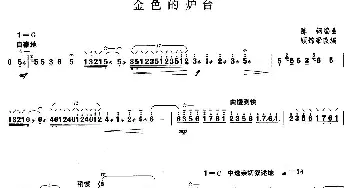 柳琴考级曲目十级 金色的炉台