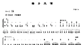 傣乡风情(笙谱)王慧中