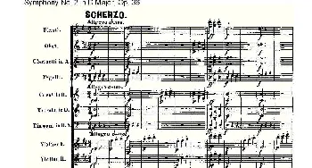 Symphony No.2 in D Major, Op.36(D大调第二交响曲 Op.36))