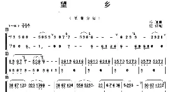 望乡(笛子独奏+乐队伴奏低音分谱)马迪