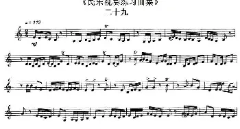 民乐视奏练习曲集(29—32)