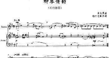 柳琴情韵(唢呐独奏)崔长勇曲 杨红光配伴奏