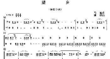 望乡(笛子独奏+乐队伴奏弹拨分谱)  马迪