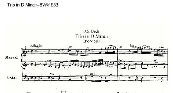 Trio in D Minor--BWV 583(管风琴)