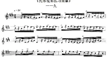 民乐视奏练习曲集(119—120)