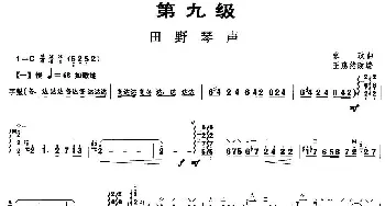 柳琴考级曲目九级 田野琴声  张政曲 王惠然改编