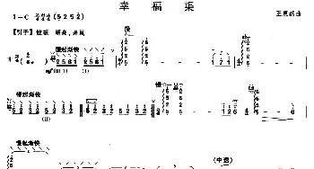 柳琴考级曲目五级 幸福渠  王惠然