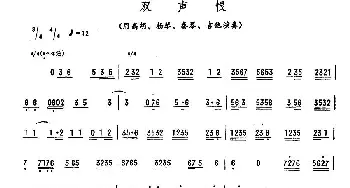 双声恨(广东乐曲)