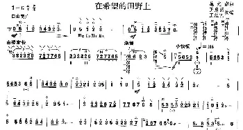 柳琴考级曲目四级 在希望的田野上  施光南