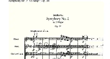 Symphony No.2 in D Major, Op.36(D大调第二交响曲 Op.3)