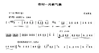 农村一片新气象(唢呐谱)