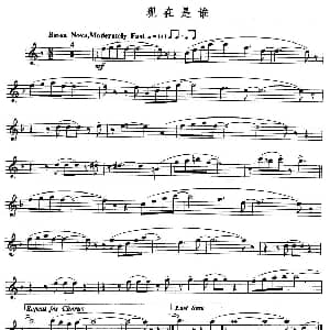 长笛曲谱 | 现在是谁