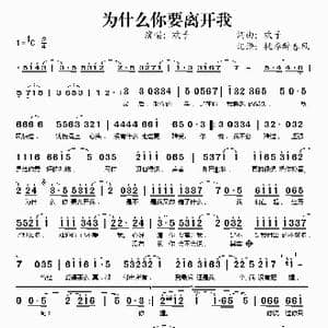为什么你要离开我_歌谱投稿_词曲:欢子 欢子