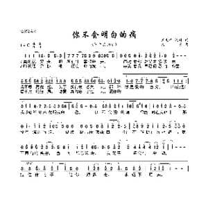 你不会明白的痛_歌曲简谱_词曲:王文奇 沈丹 沈丹