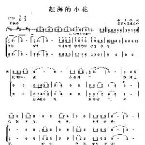 赶海的小花_歌曲简谱