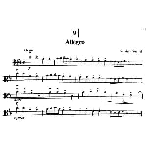 Allegro 中提琴