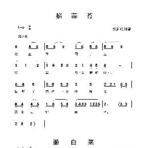 掐蒜苔/撇白菜_歌曲简谱