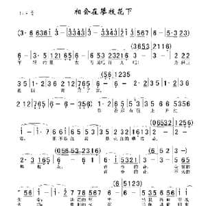 相会在攀枝花下_歌谱投稿