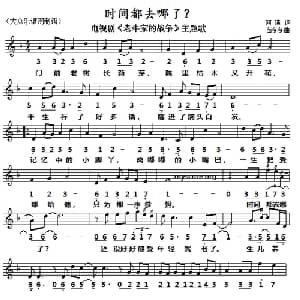 时间都去哪了?_通俗唱法乐谱_词曲:阿曦 苗冬冬