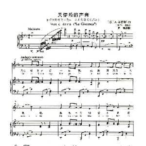 天使般的声音_歌谱投稿