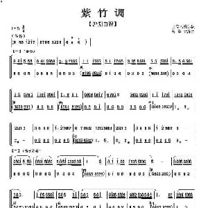 紫竹调 沪剧曲牌 上海民族乐队 马圣龙
