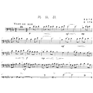 玛依拉 长号 赵坚改编
