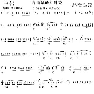 黄梅戏谱 | 青山翠岭红叶染 黄梅戏故事片 生死擂 郑京生唱段 金芝 等 时白林 等