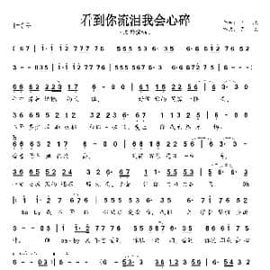 看到你流泪我会心碎_歌曲简谱_词曲:可欣 可欣