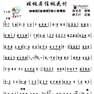 碗碗腔 姓桃居住桃花村 金碗钗 桃小春唱段 薛天信记谱版 杨荣荣 薛天信记谱 喜秦声制谱