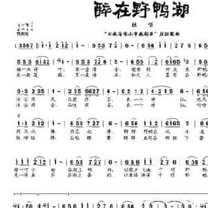 醉在野鸭湖_民歌简谱_词曲:何丽华 戴永常
