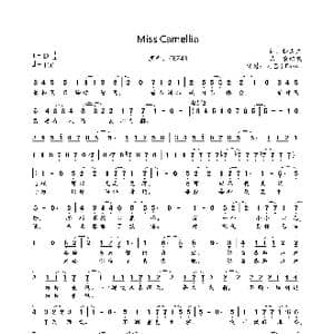 Miss Camellia_歌曲简谱_词曲:松本广 唐绍崴
