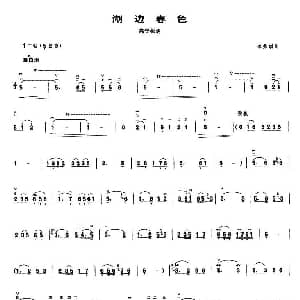 湖边春色 高音板胡 李秀琪