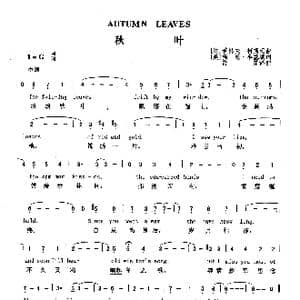 秋叶_歌曲简谱