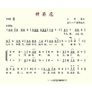 种葵花_歌谱投稿_词曲:王重农 武汉八中